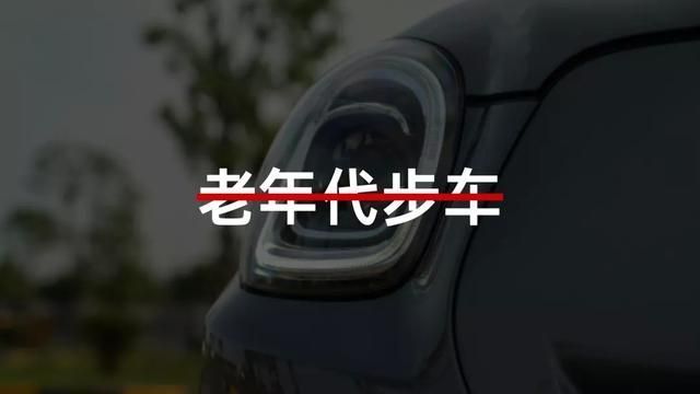 漆总在哪里(漆公店在哪里)