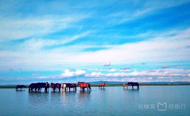 青岛金账师加盟靠谱吗(代账公司加盟哪家好)