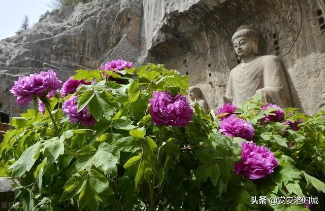 应天门在哪(洛阳应天门在哪)