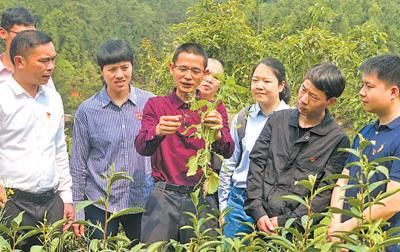 新设立公司出资时间怎么填的简单介绍
