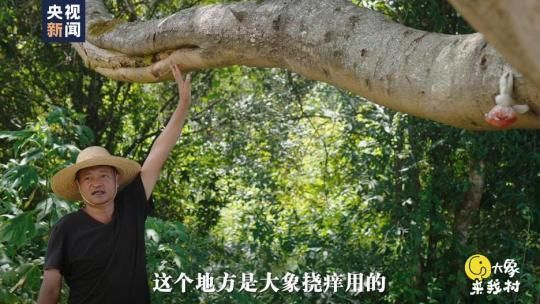 断牙在哪收(断牙在哪里抓)