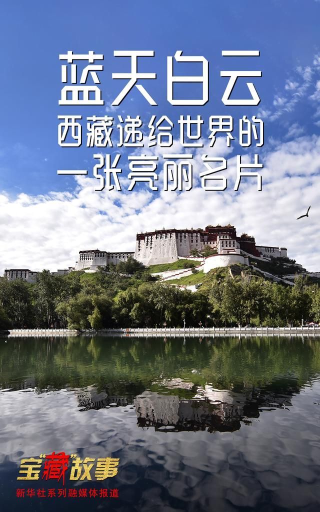 拉萨买车市场在哪的简单介绍