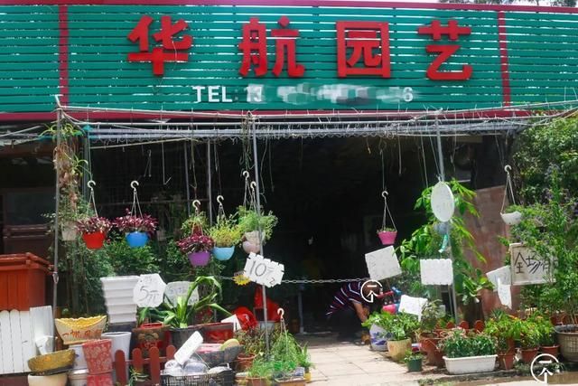 布吉在哪里(布吉在哪里接种新冠疫苗)