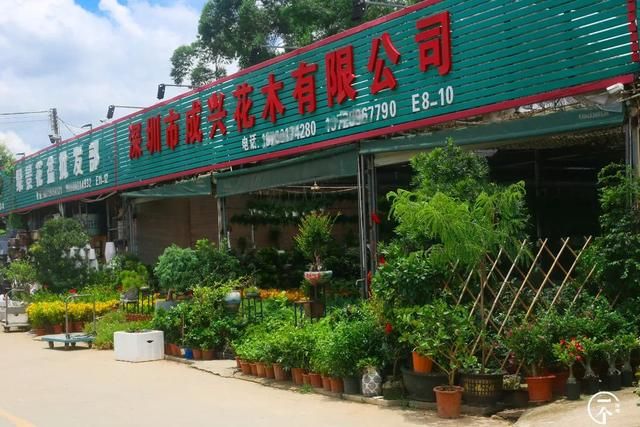 布吉在哪里(布吉在哪里接种新冠疫苗)