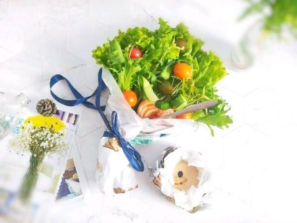 苦菊在哪(苦菊在哪里)