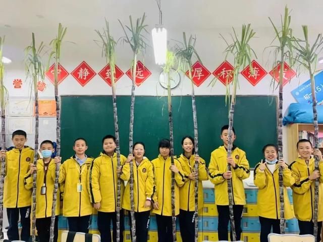 杭州锦绣中学地址在哪(杭州锦绣中学和育才中学有管乐团特长生吗)