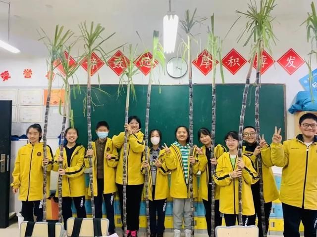 杭州锦绣中学地址在哪(杭州锦绣中学和育才中学有管乐团特长生吗)
