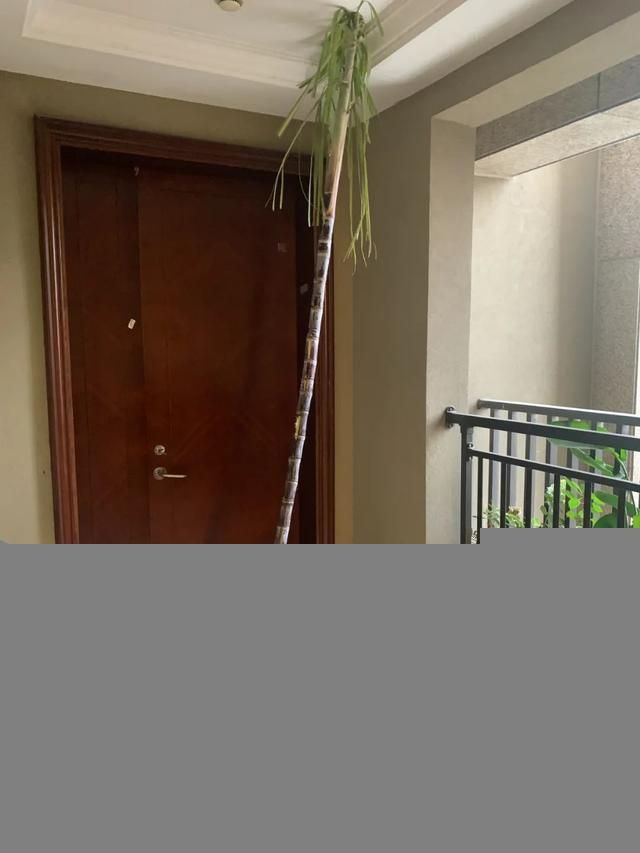 杭州锦绣中学地址在哪(杭州锦绣中学和育才中学有管乐团特长生吗)