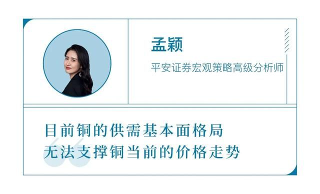 关于snow的视频保存在哪的信息