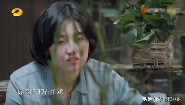 张子枫在哪上学(张子枫有没有在上学)