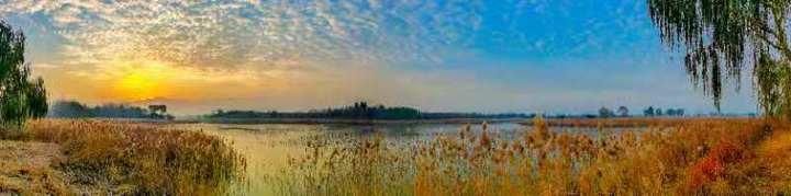 济南龙湖湿地公园在哪(济南龙湖湿地公园在哪通几路公交车)