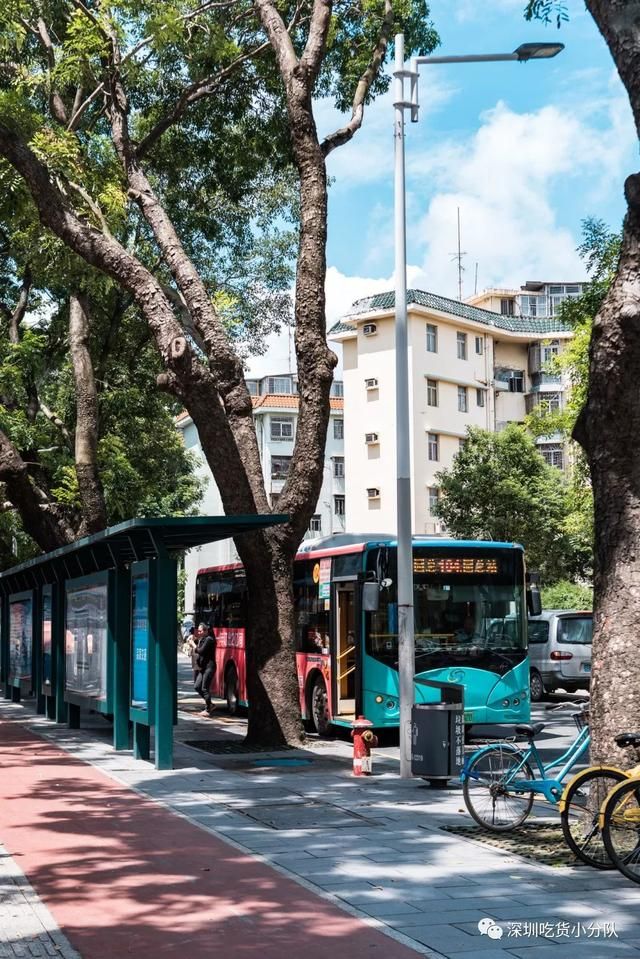 深圳罗湖荷花市场在哪(罗湖荷花市场怎么去)