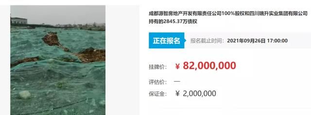 成都公司转让出售(成都公司转让出售选乾程励智一站式服务)
