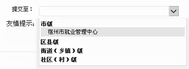 安徽政务服务网统一登录入口(山东政务服务网个人登录入口)