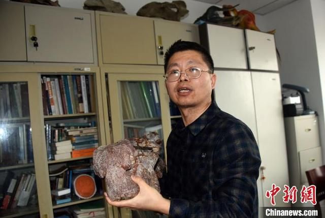 泪骨在哪(肋骨在哪里图片)