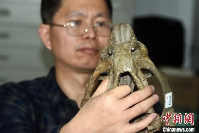 泪骨在哪(肋骨在哪里图片)