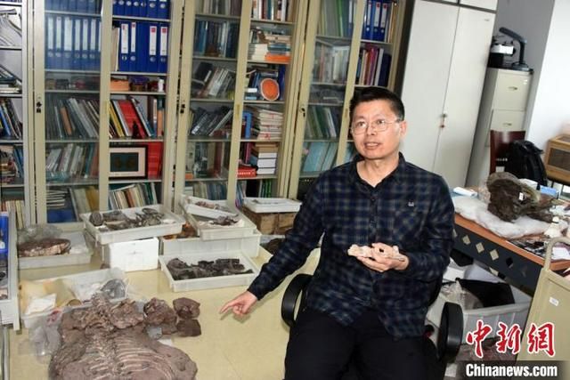 泪骨在哪(肋骨在哪里图片)