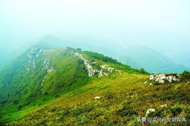 明珠葬在哪里(明珠大桥是在哪里)