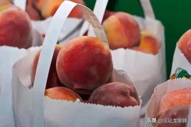 龙泉驿水蜜桃在哪里买(龙泉驿水蜜桃的特点)