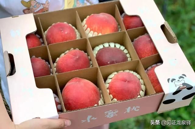 龙泉驿水蜜桃在哪里买(龙泉驿水蜜桃的特点)