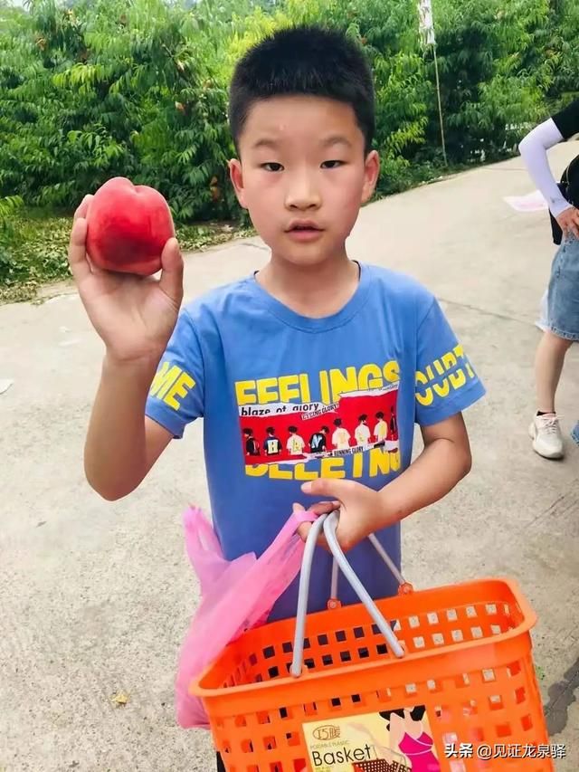 龙泉驿水蜜桃在哪里买(龙泉驿水蜜桃的特点)