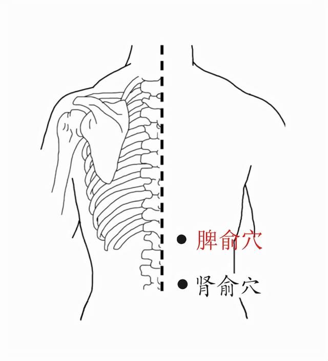 腋前文在哪里(叶倩文在颁奖典礼上清唱秋去秋来的视频)