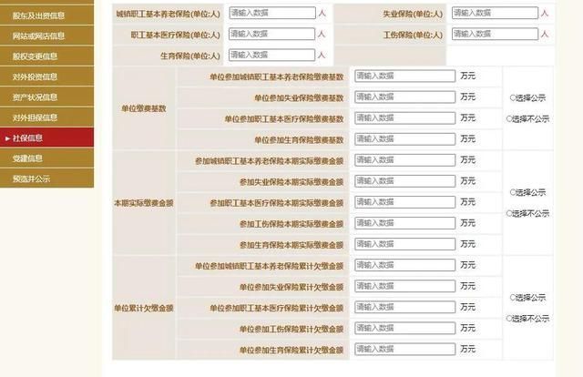 工商网企业信息年报(工商网企业信息年报河南打不开)