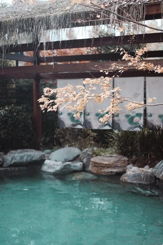 你在哪里住宿(你在哪里英文)