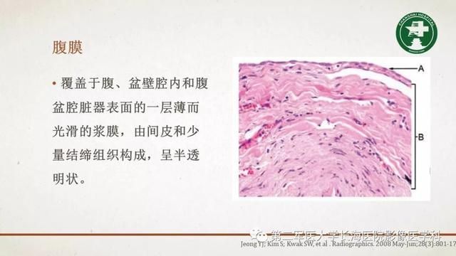 腹膜在哪里(附魔在哪里学)