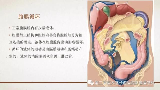 腹膜在哪里(附魔在哪里学)