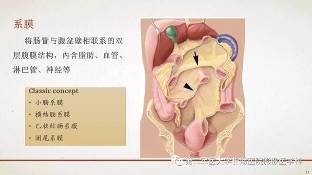 腹膜在哪里(附魔在哪里学)