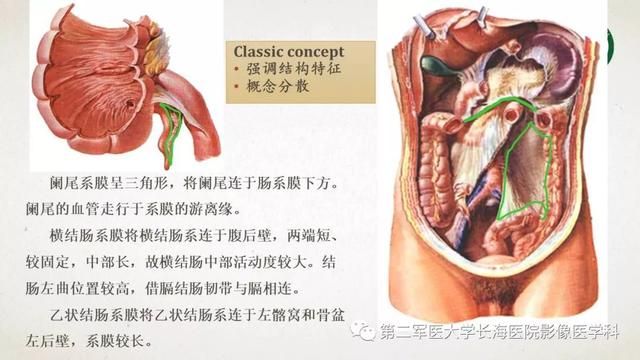 腹膜在哪里(附魔在哪里学)