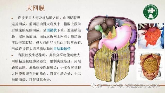 腹膜在哪里(附魔在哪里学)