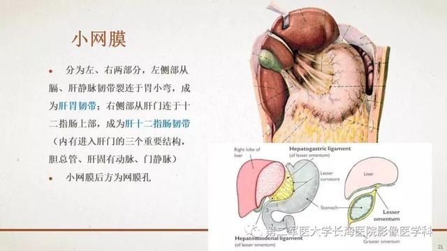 腹膜在哪里(附魔在哪里学)