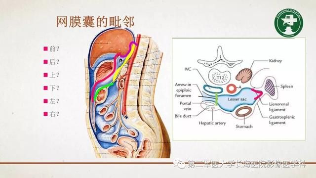 腹膜在哪里(附魔在哪里学)