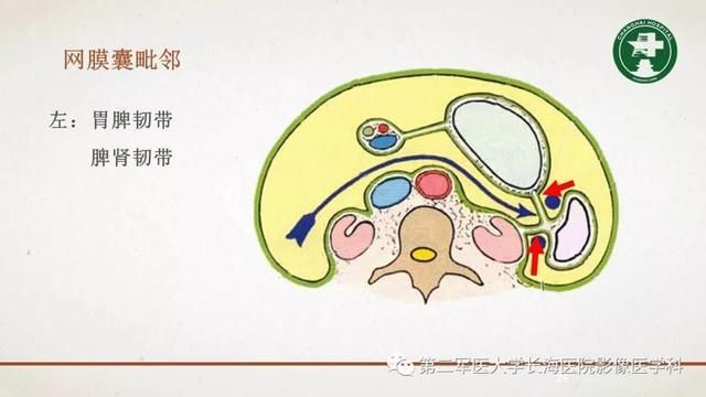 腹膜在哪里(附魔在哪里学)