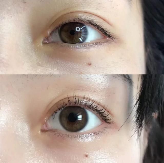 种睫毛在哪烫(种的睫毛可不可以烫)