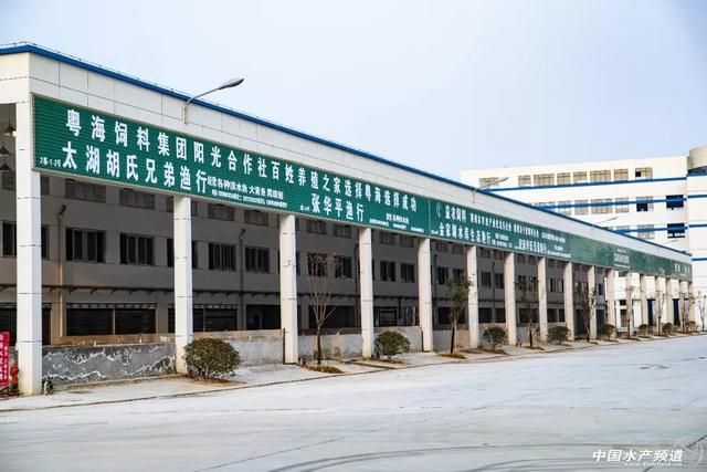 成都鱼具批发市场在哪里(成都渔具批发市场在哪里)