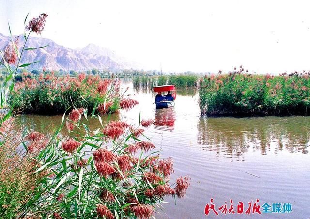 临夏在哪里属于哪个省(临夏在哪里属于哪个省份)