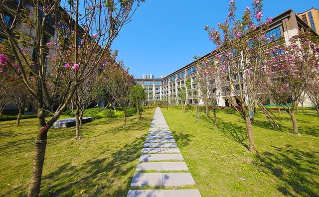 重庆杨家坪彩云湖高中怎么样(重庆杨家坪彩云湖中学初中部怎么样)
