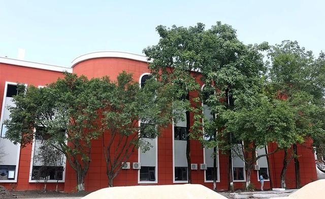 重庆杨家坪彩云湖高中怎么样(重庆杨家坪彩云湖中学初中部怎么样)
