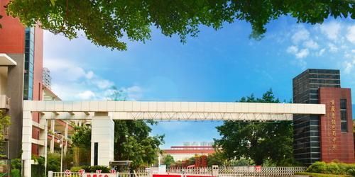 重庆杨家坪彩云湖高中怎么样(重庆杨家坪彩云湖中学初中部怎么样)