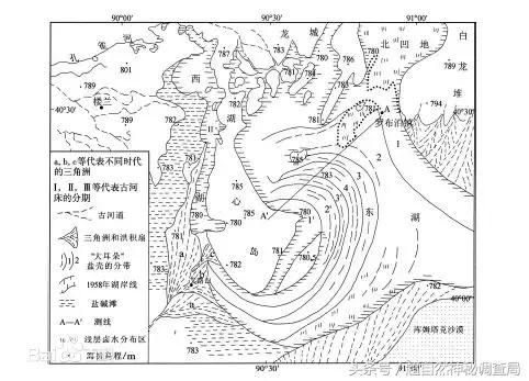 食人蜥在哪(食人蜥蜴)