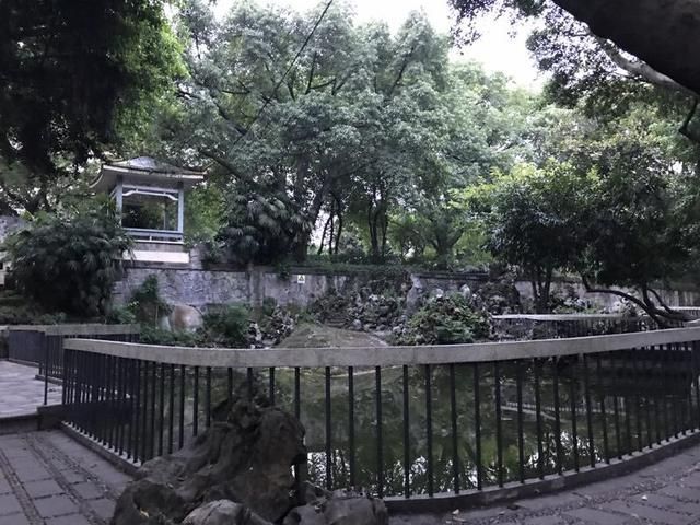枇杷山在哪儿的简单介绍