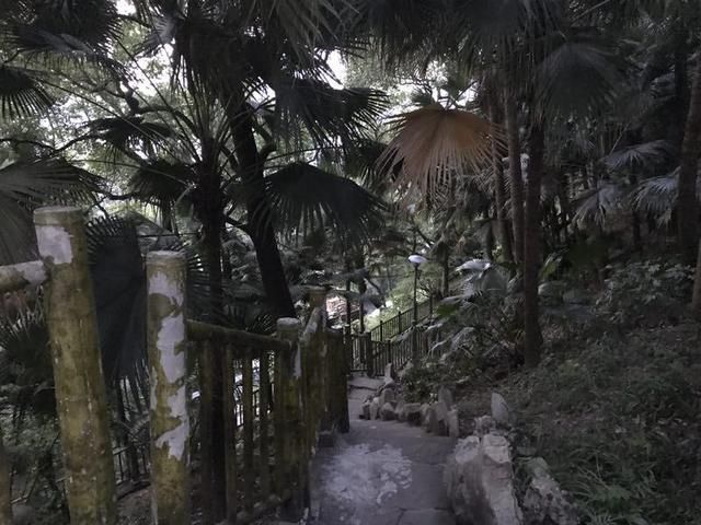 枇杷山在哪儿的简单介绍