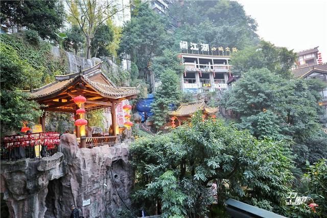 洪崖洞夜景在哪里看(洪崖洞夜景作文)