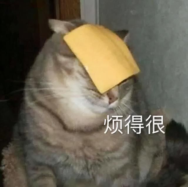 在手机上怎么注册个体工商户(在手机上怎么注销手机号)