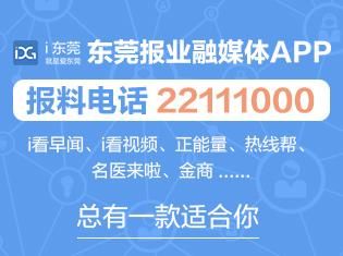 如何查询法人名下企业(法人名下多家企业情况说明)