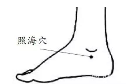 商丘血位置在哪(商丘穴位置和作用)