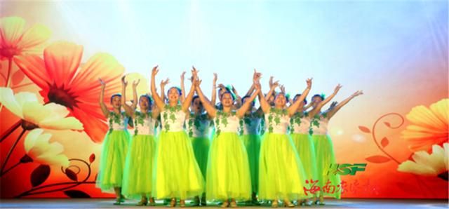 高六大队在哪(南京六大队在哪)